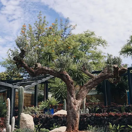 Villa The Nest Tenerife