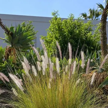The Nest Tenerife *