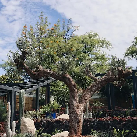 Villa The Nest Tenerife