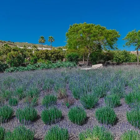 The Nest Tenerife Вилла